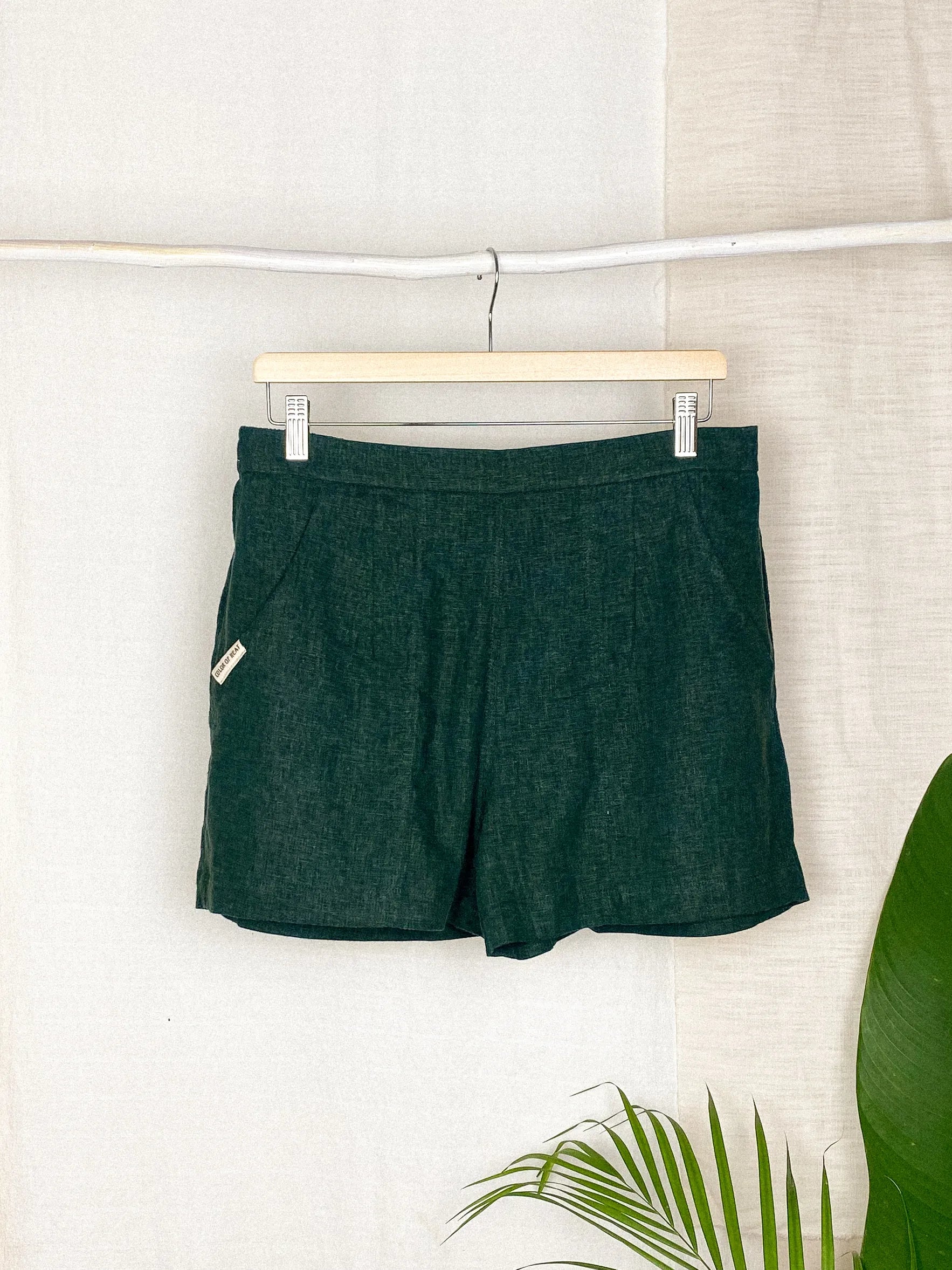 Shorts: Large Regular